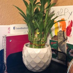 Meet your Posher, Stacy